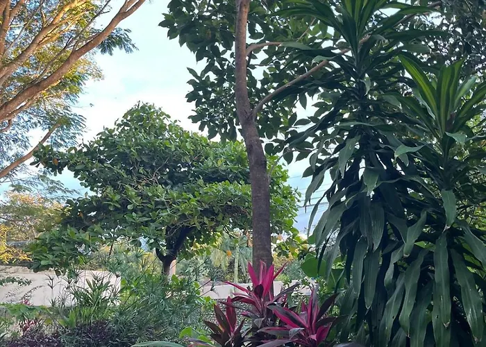 Casa Zen